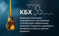 Kannabihromen__hnp8xbUgP0OcOtW4.jpg Kannabihromen__hnp8xbUgP0OcOtW4.jpg