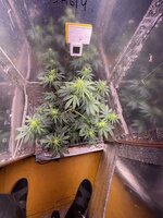 IMG_2248.jpeg