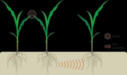 field_image_cqa2yqnju9jssgnxdfmj.jpg