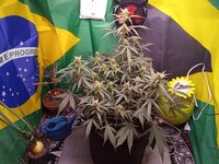 IMG_20260102_061705.jpg