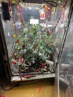 IMG_2266.jpeg