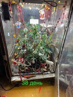 IMG_2266.jpeg