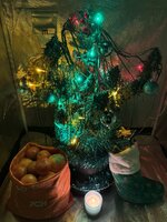 IMG_2711.jpg