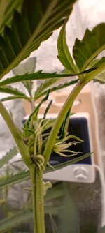 IMG_20260110_125035.jpg