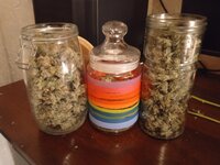 IMG_20260111_175037_311.jpg