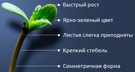1768242630367.png
