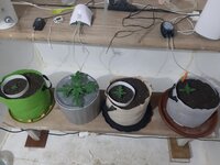 20260119_063900.jpg