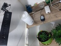 20260120_062631.jpg
