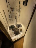 IMG_2619.jpeg