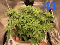 IMG_2110.jpeg