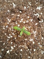 IMG_20260104_130852.jpg