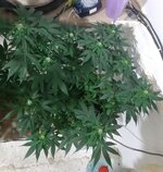 20260123_065236.jpg