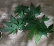 20260123_070724.jpg