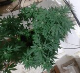 20260123_073553.jpg