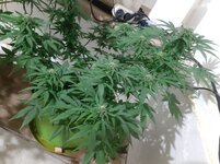 20260124_065531.jpg