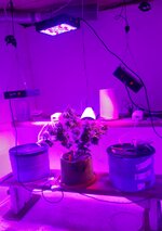 20260126_062006.jpg