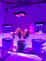 20260126_064705.jpg