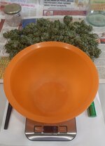 20260127_060752.jpg
