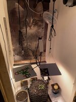 IMG_2699.jpeg