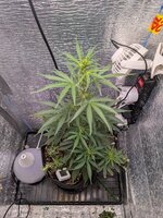 PXL_20260128_074202364.jpg