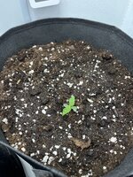 IMG_0814.jpeg