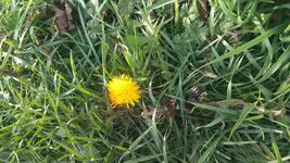 IMG_20260129_155914.jpg