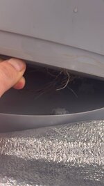 IMG_20260131_181651_865.jpg