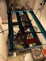 IMG_2954.jpeg