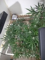20260208_070139.jpg