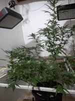 20260208_070829.jpg
