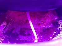 20260208_092406.jpg