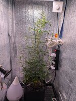 PXL_20260209_084204349.jpg