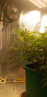 20260209_165911.jpg