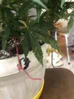 IMG_2843.jpeg