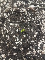IMG_20260212_213646.jpg