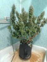 IMG_20260213_134731.jpg