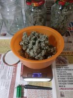 20260215_054551.jpg