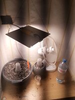 IMG_20260221_201845.jpg