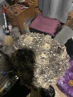 IMG_3145.jpeg