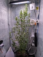 PXL_20260223_073520186.jpg