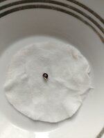 1000027138.jpg