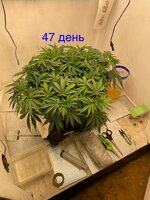 IMG_3155.jpeg