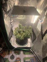 IMG_0106.jpeg