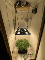 IMG_3279.jpeg