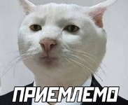 1772545600270.png