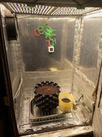 IMG_3364.jpeg