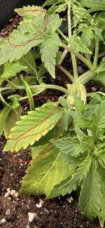 IMG_3228.jpeg