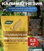 IMG_3237.jpeg