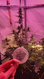 IMG_0877.jpeg