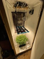 IMG_3426.jpeg